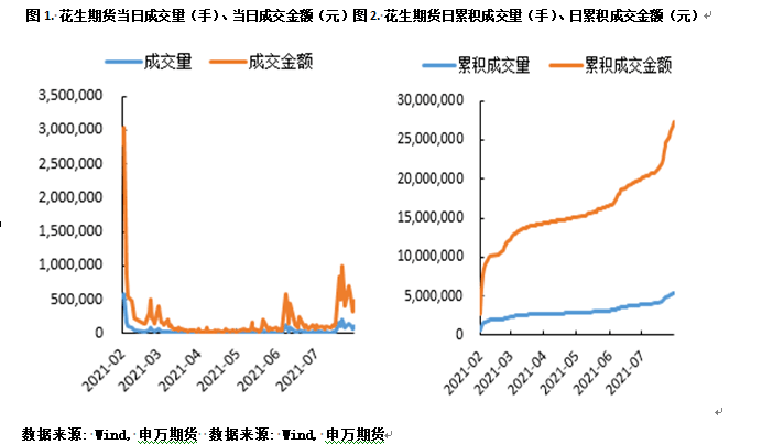 最新上市消息，证券公司的动态与前景展望