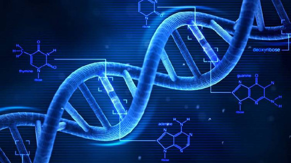 壹基因最新消息，引领基因科技新纪元