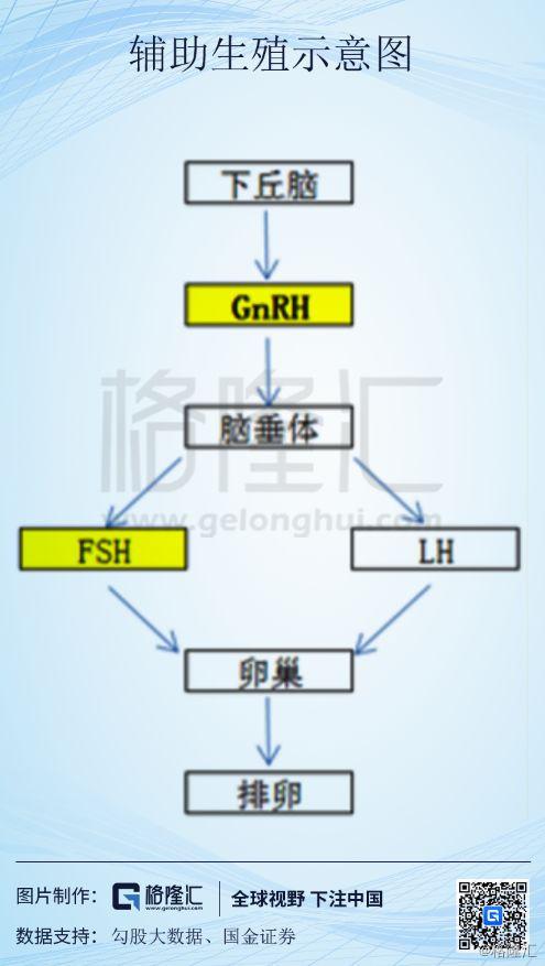 戈舍瑞林最新价格动态及相关影响因素分析