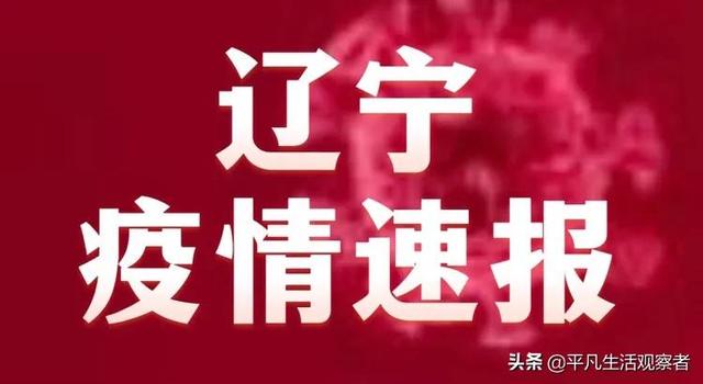 辽宁感染病毒最新通报，全面应对，守护健康防线